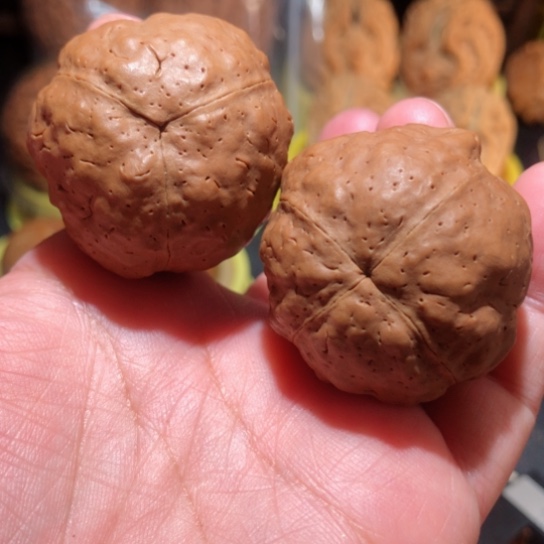 文玩核桃把件南瓜一三一四