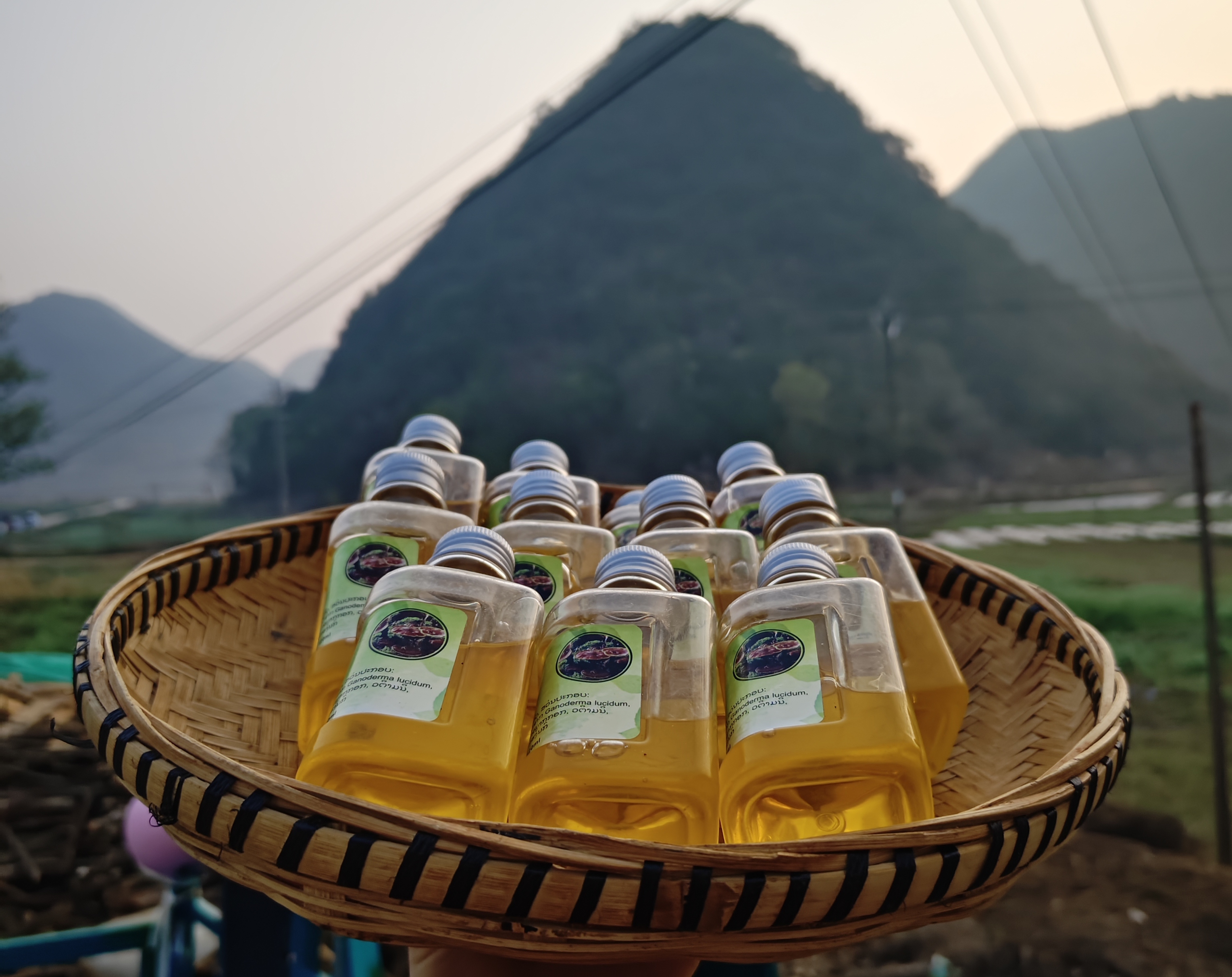 大熊山货“油～油～油”一瓶装     非莲子