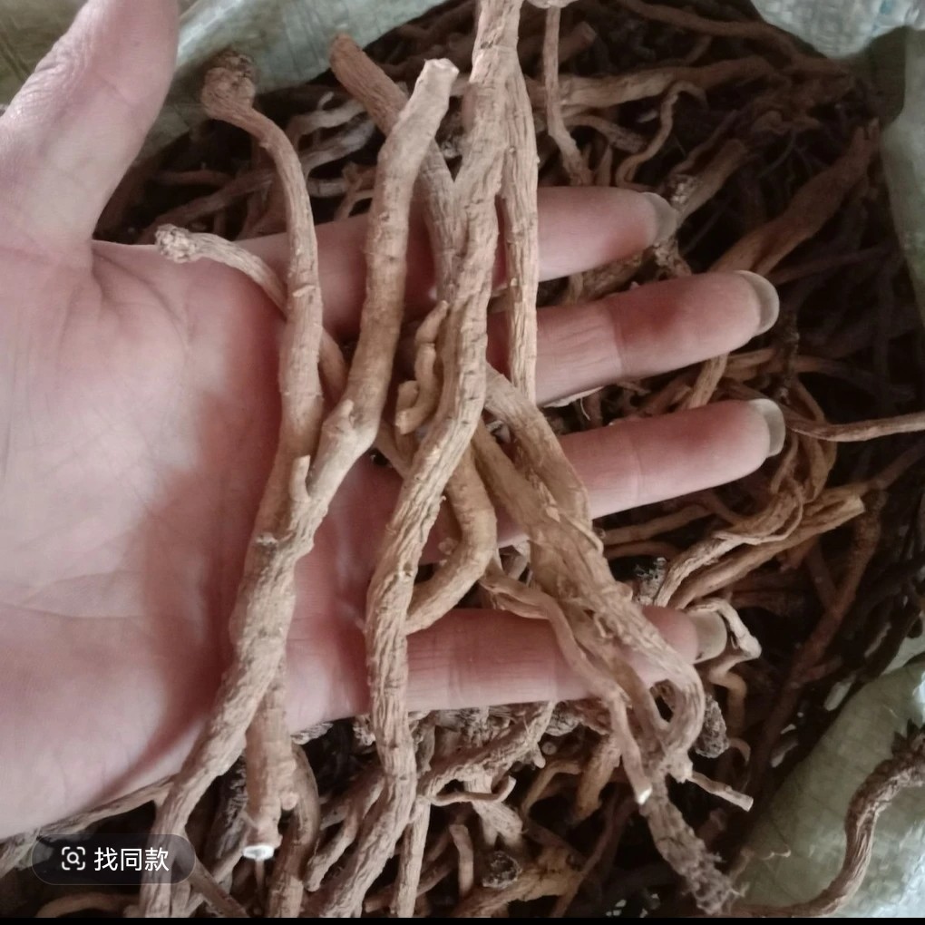 云南精选山货 板-蓝-根