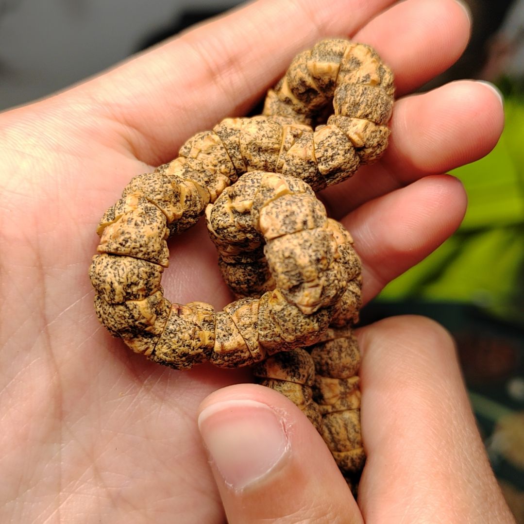 柏香籽/百香籽手串小*头脏大肠三分之一