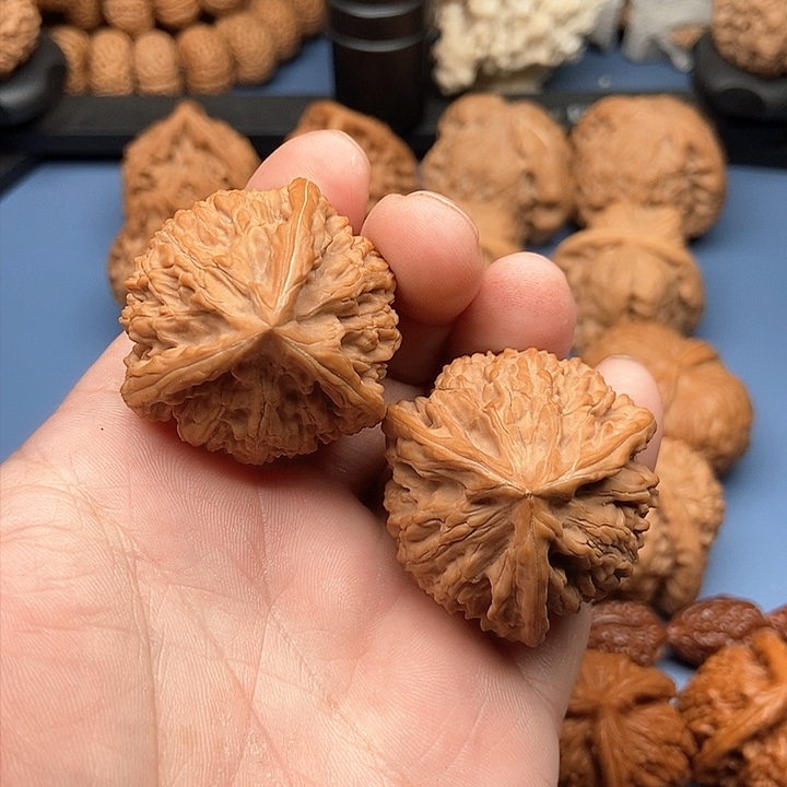 文玩核桃把件D****r玉龙粗筋