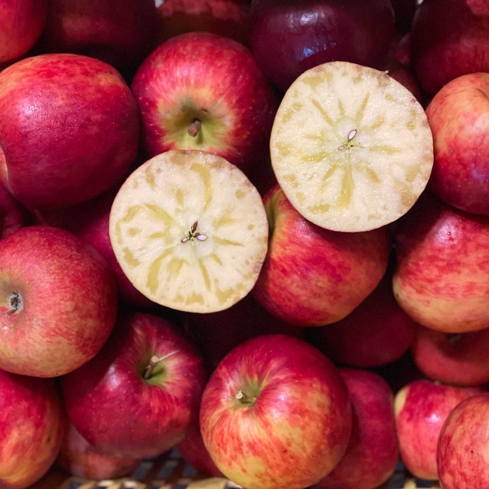 云南大理秦脆苹果