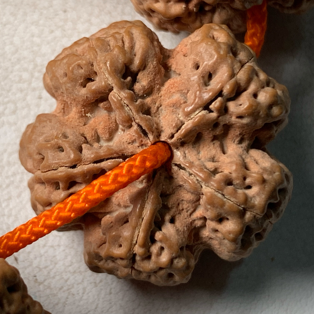 《奉天出品》龙牙纽扣天花板，一串到顶大金刚