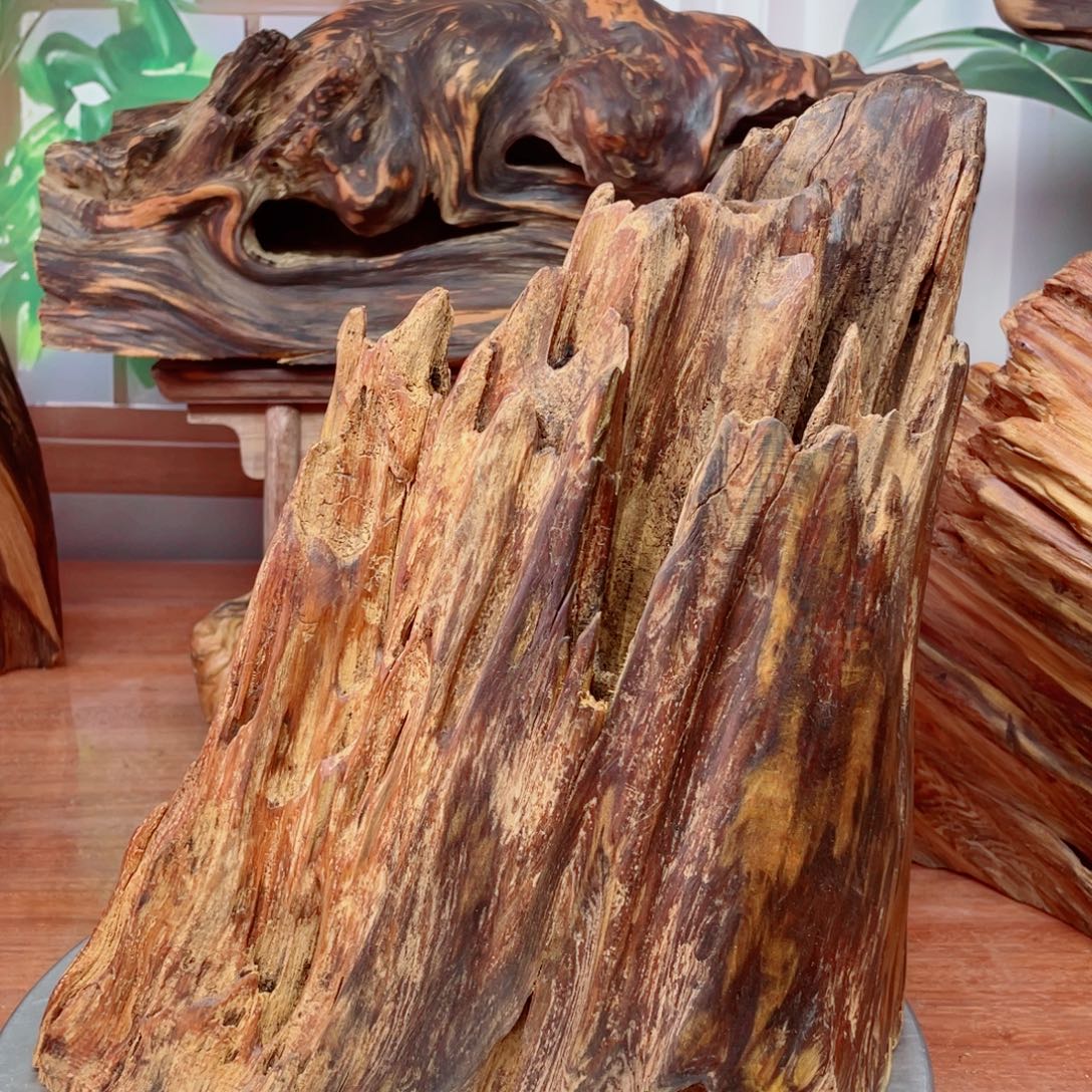 用***2你目的名优木兰狠厉我乐了