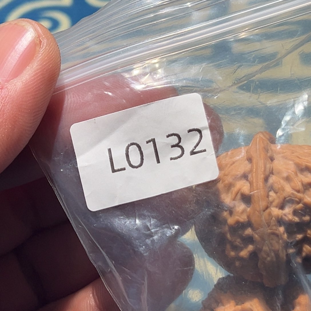 文玩核桃吊坠S****y白狮子