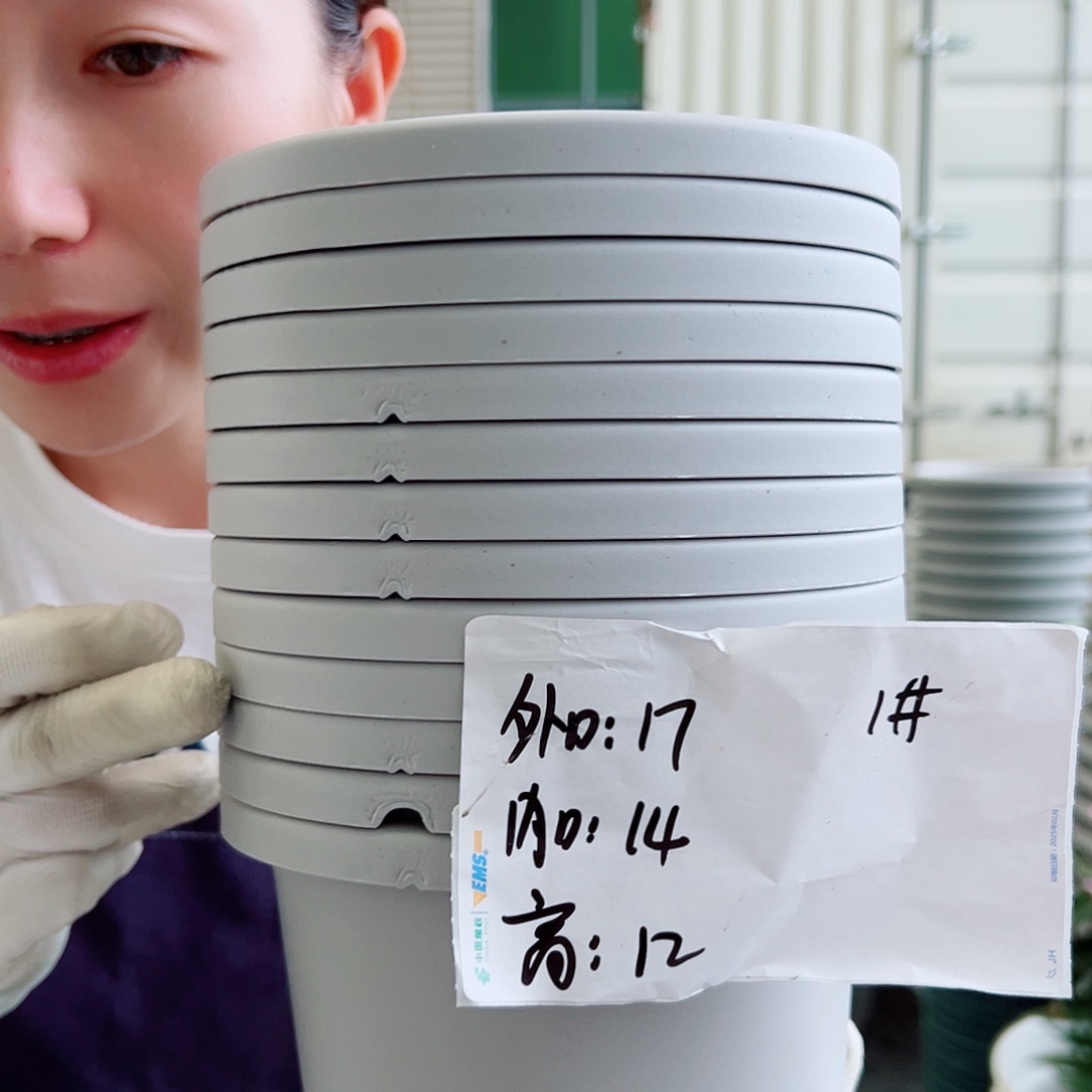 瑕疵球根盆1#灰白10个无托
