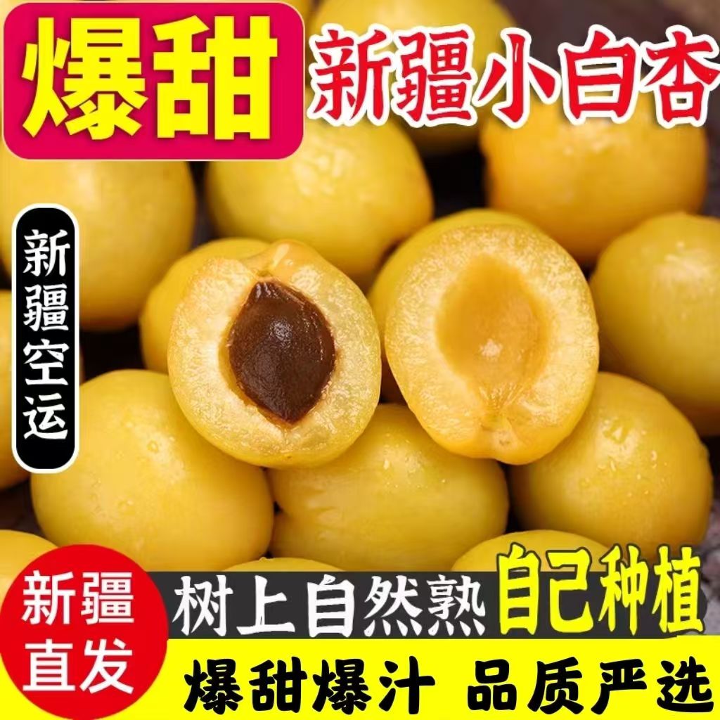 【新疆空运直发】新疆小白杏轮台库车小白杏甜杏新疆水果当季