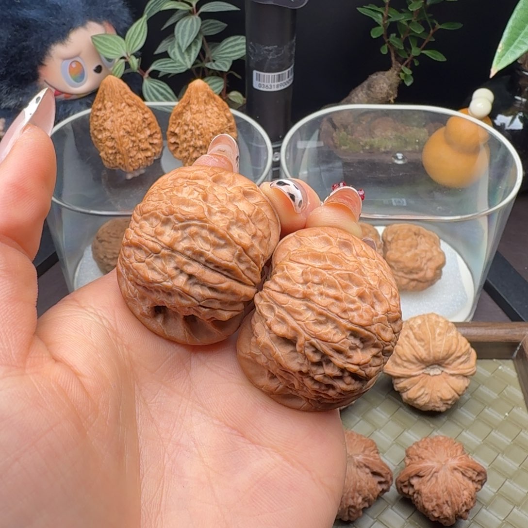 把件龙脊菩提血麒麟（微修）40