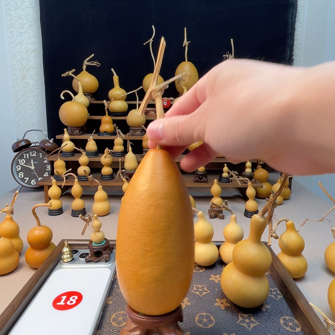 红***丶80长冬瓜长冬瓜长