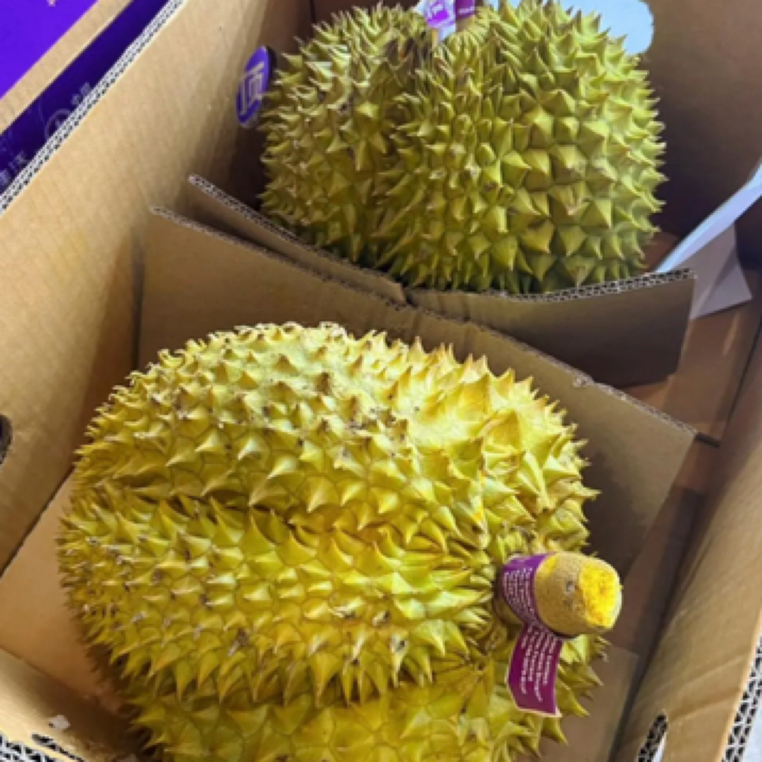 1号果泰国金枕新鲜榴莲一物一拍28.8一斤（核小干包大黄肉包售后）榴莲同城送金枕泰国