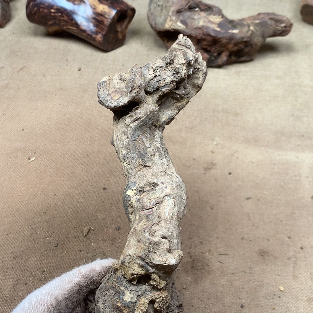 钢***哥黄花梨/降香黄檀原材料品香料