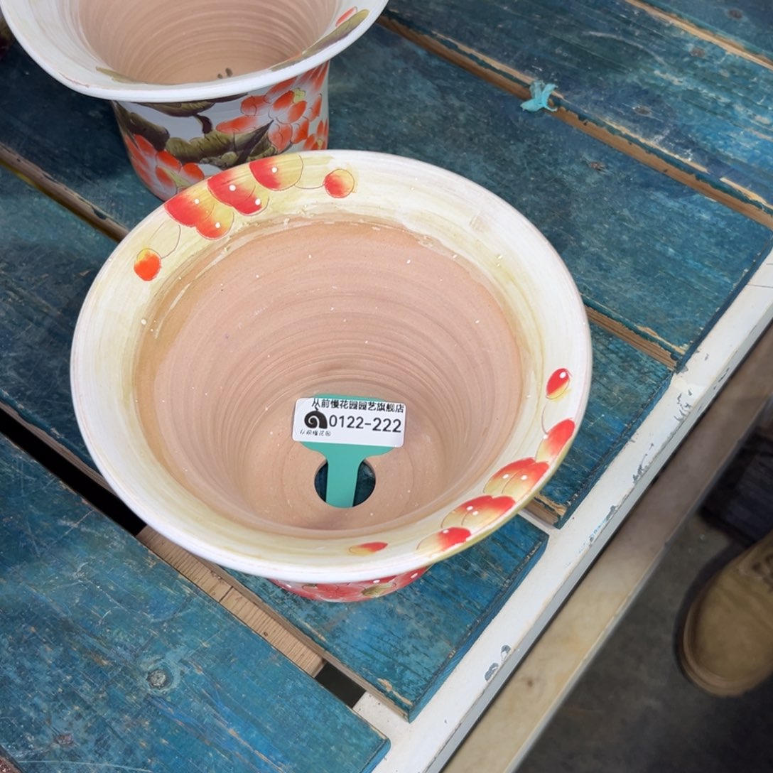 随*?多肉精选编号0122.222