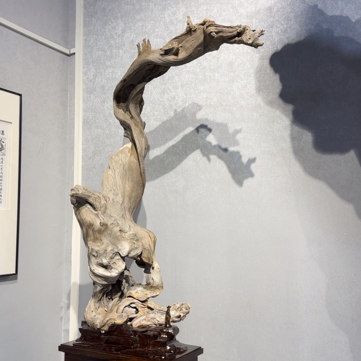 鸡翅木峰**～崖柏的叶子八八枝