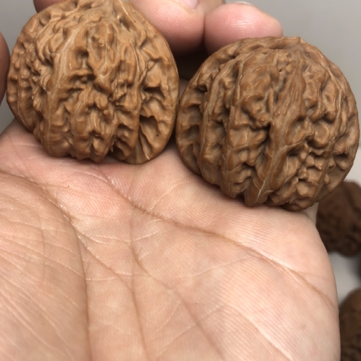 40尺寸三角白核桃