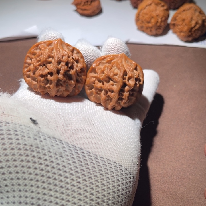 o***o精品小秦闷40尺寸