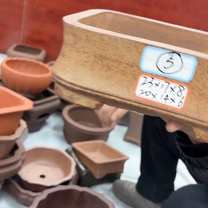 紫砂花盆紫砂的花也太美