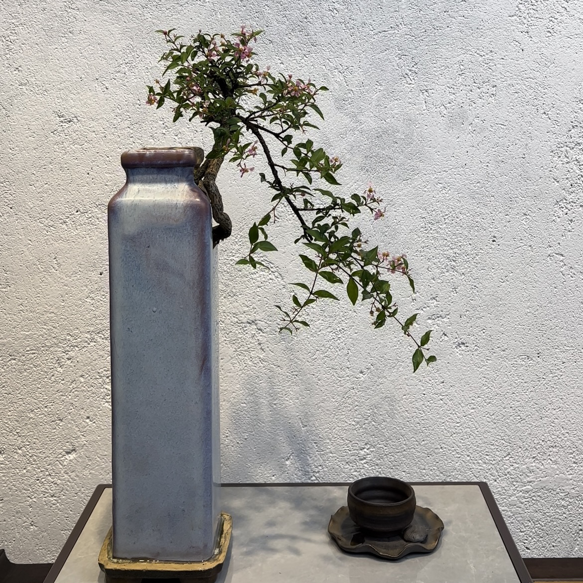 台湾李氏樱桃-老盆器大悬崖老根盘精品盆景