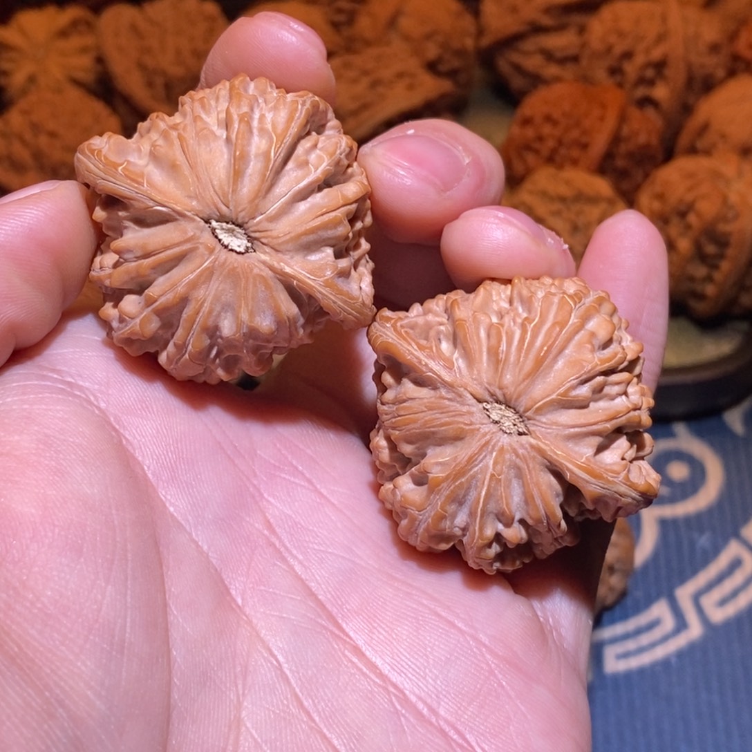 42尺 全品白茬正磨
