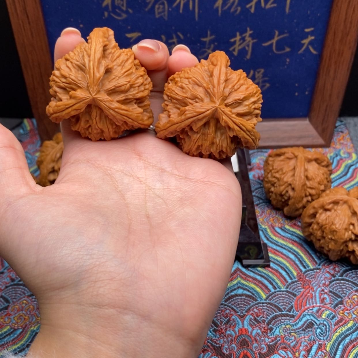 【闪购商品】狂**生白狮