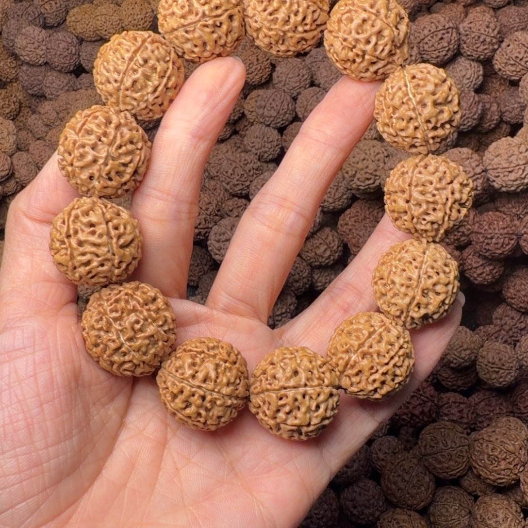 金刚菩提手串8瓣卡22尺，88号