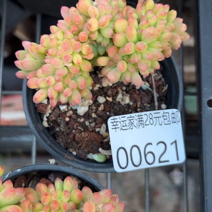 幸运的是我还没遇到过这样