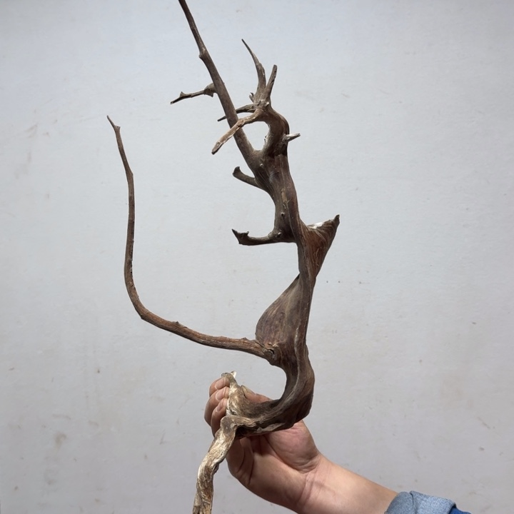 香榧木流*工艺品精品摆件