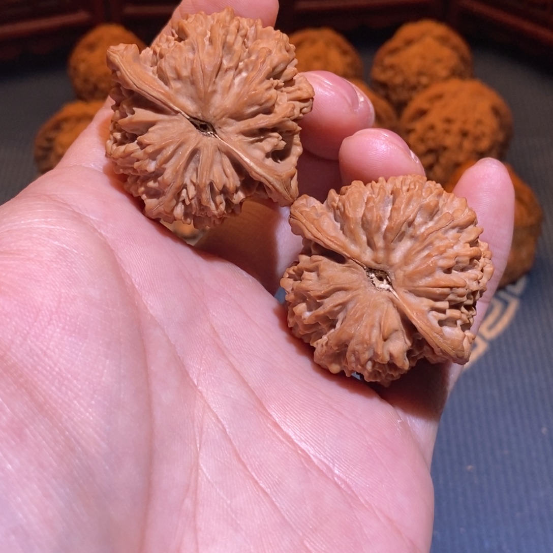 大***鸟45尺 全品白茬 满天星