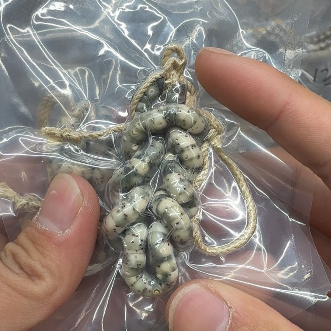 星月菩提把件大肠mini青花同枝6