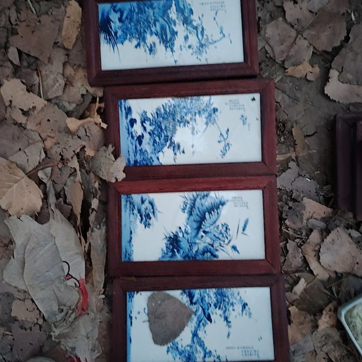 盖碗波*瓷器活动，我们班的