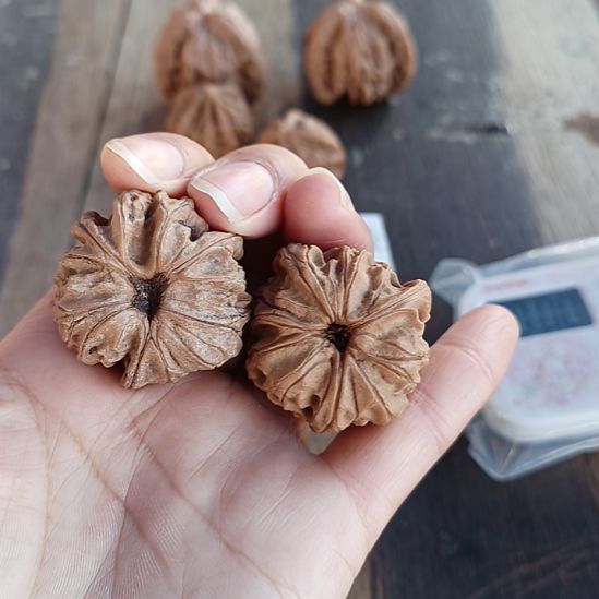 神***）野生元宝三棱全品文玩核桃