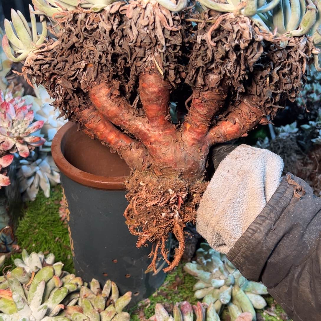 8504哈哈哈哈哈哈哈哈