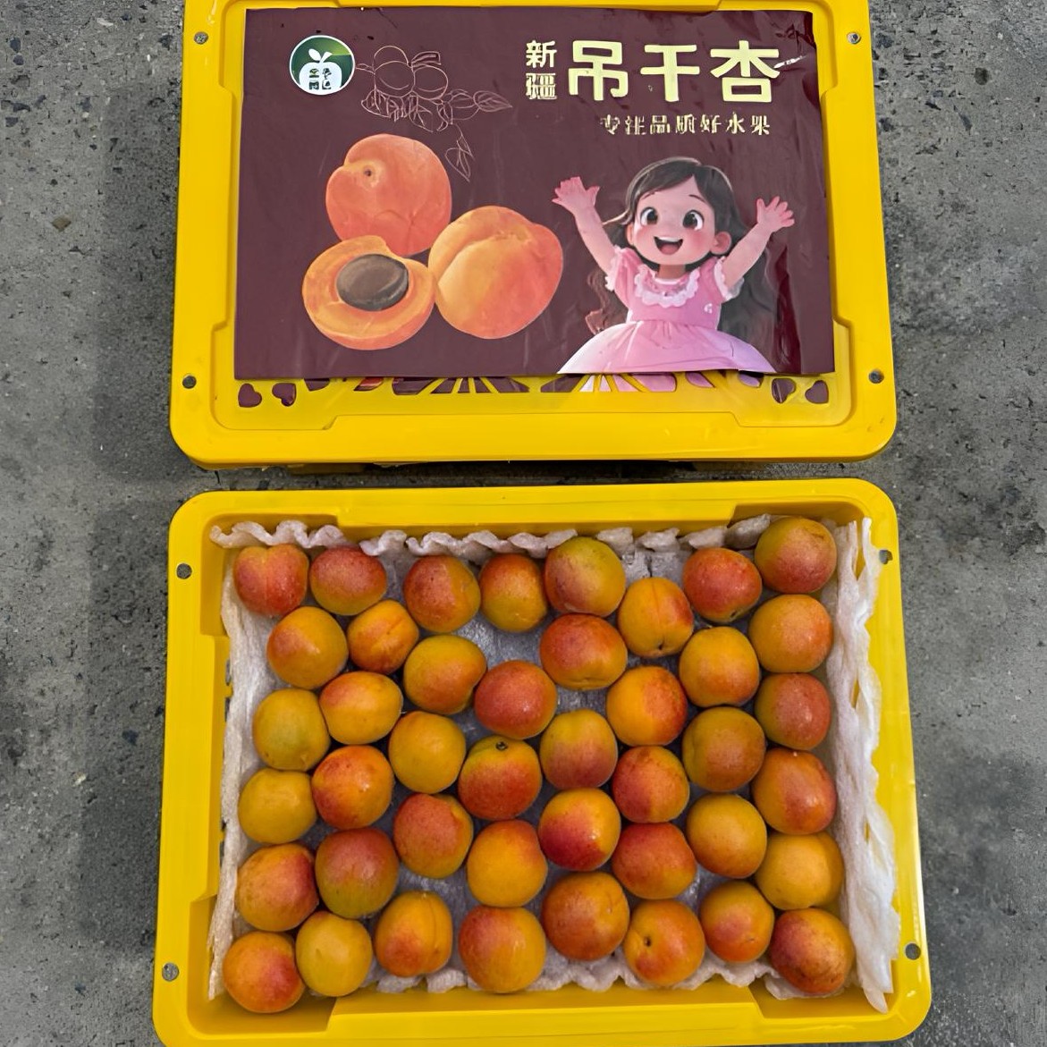 新疆伊犁-吊干杏！3.5斤净重！杏仁好吃！京东快递