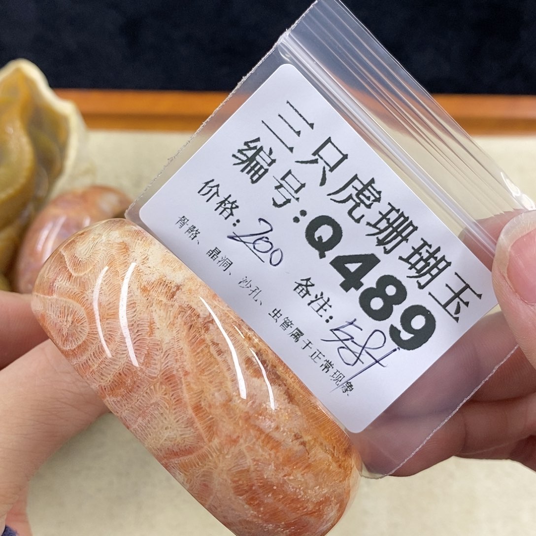 硅化珊瑚（珊瑚玉）1未镶嵌彩*?