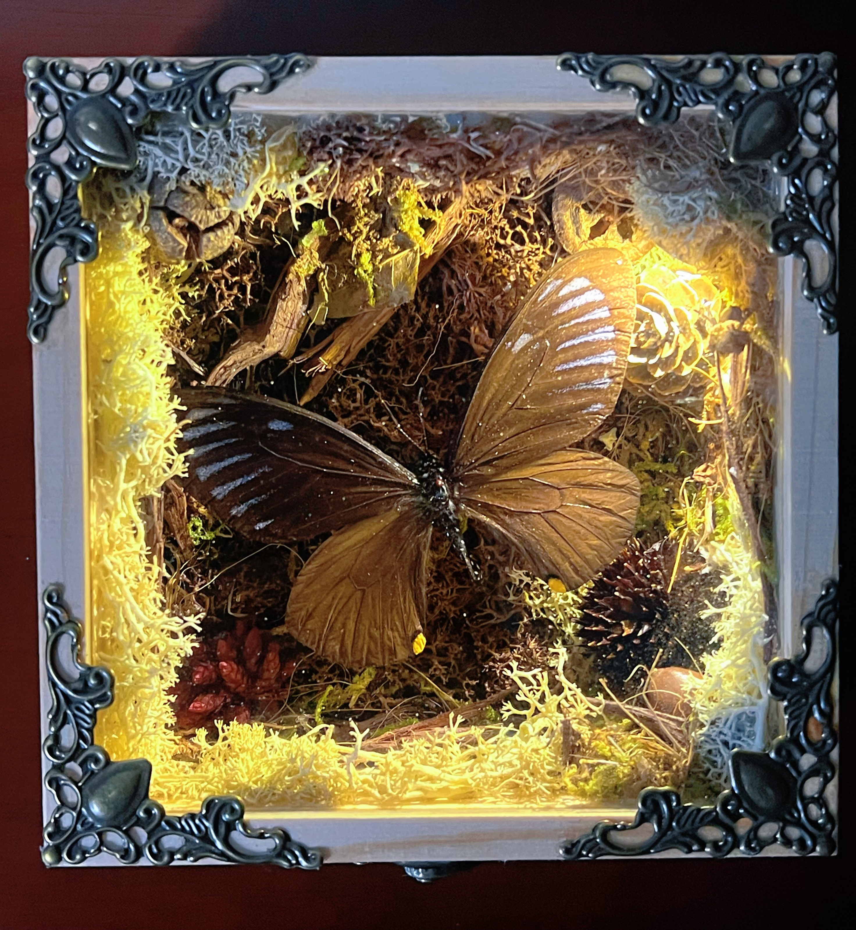 手工创意DIY蝴蝶流麻盒子（一物一拍，改价链接）