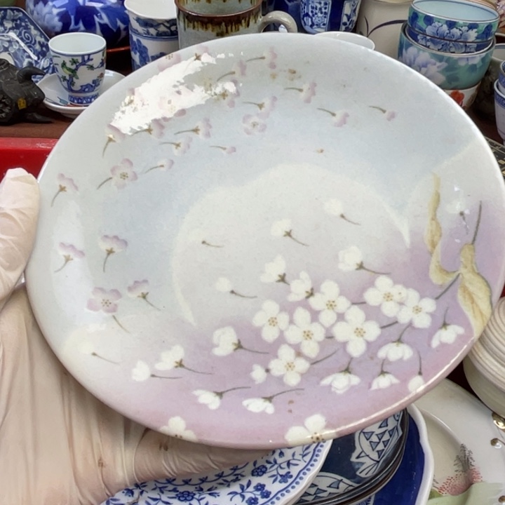 陶他家瓷器真美…开播了