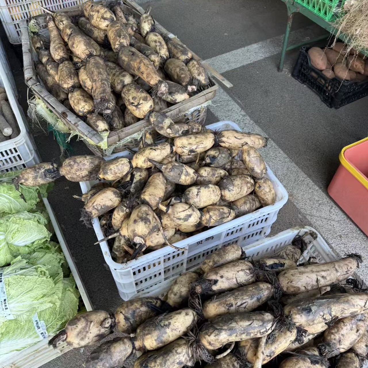 本地新鲜现挖白莲藕清甜可口可清炒可凉拌可生吃2.29元一斤