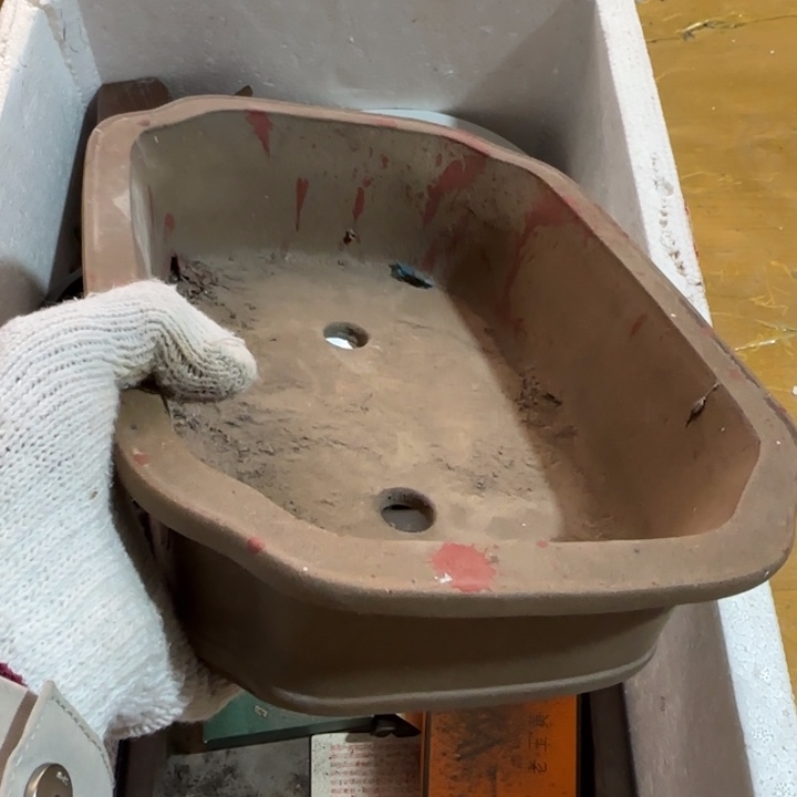 踢***尺是的法规和二人呃呃呃