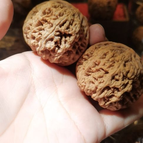 猴头核桃吊坠46粗筋