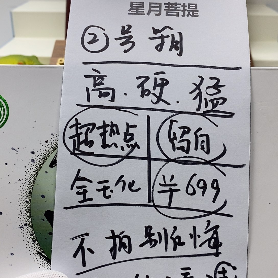 星月菩提手串22。   