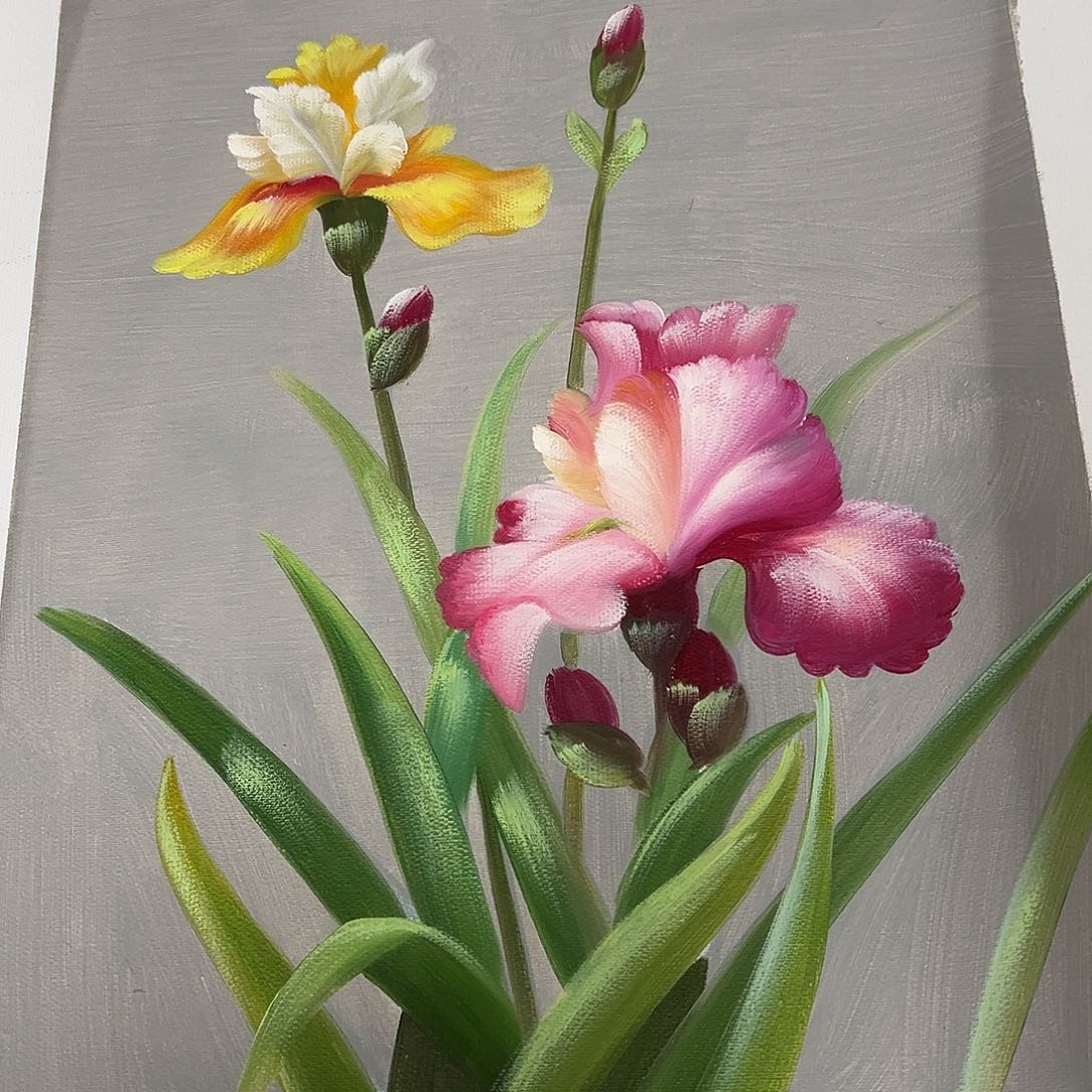 油画p z p z y p w y p z p z