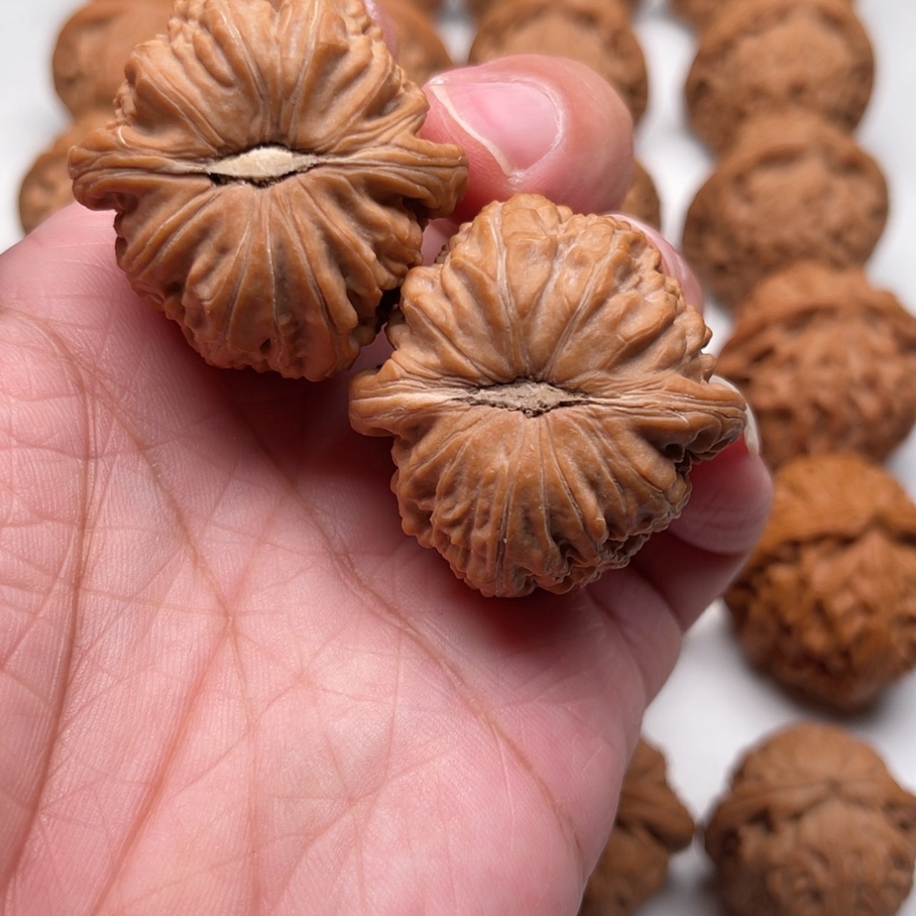 【闪购商品】文玩核桃把件核桃