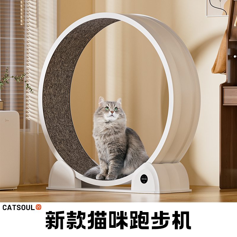 盼四季数显猫咪玩具跑步机时尚前卫猫健身宠物滚轮