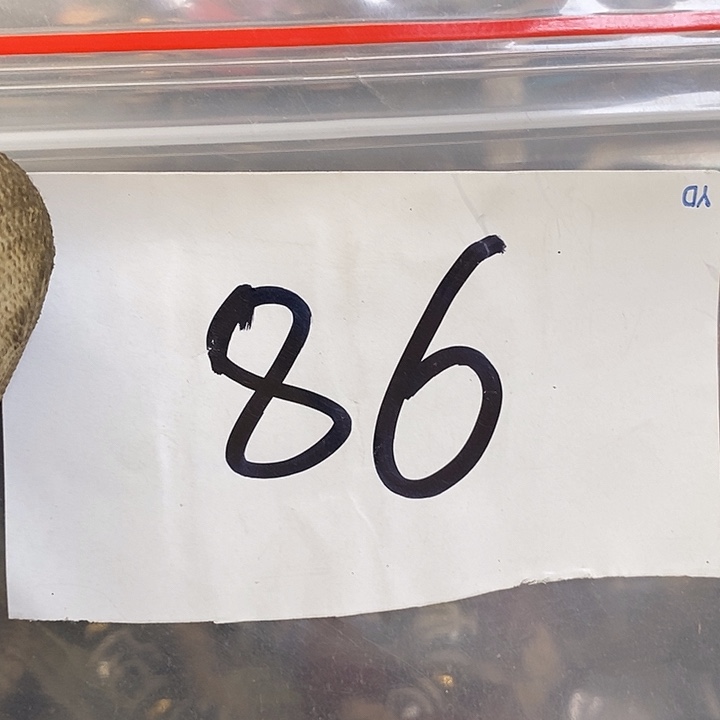 a***i最美古村专属链接