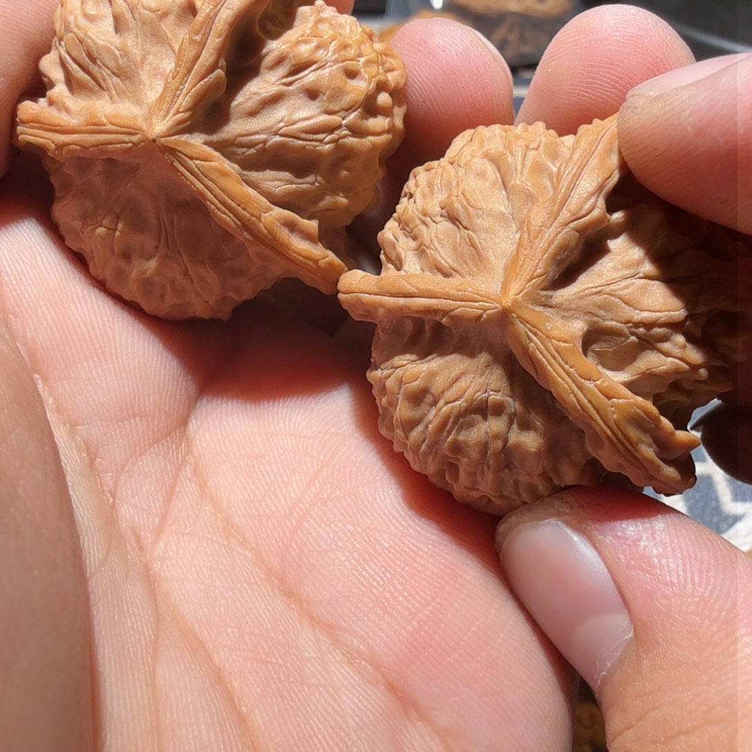 文玩核桃把件金锭正奔