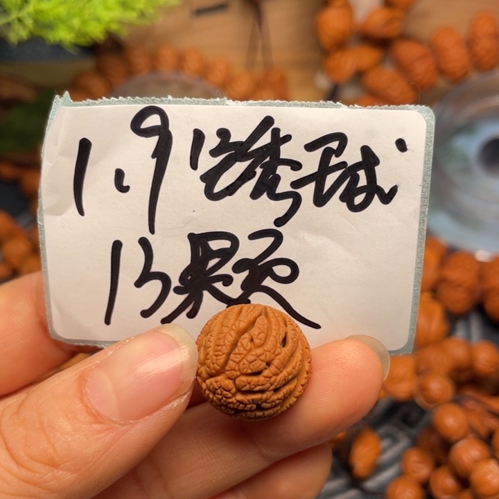 桃核手串龙纹桃核43