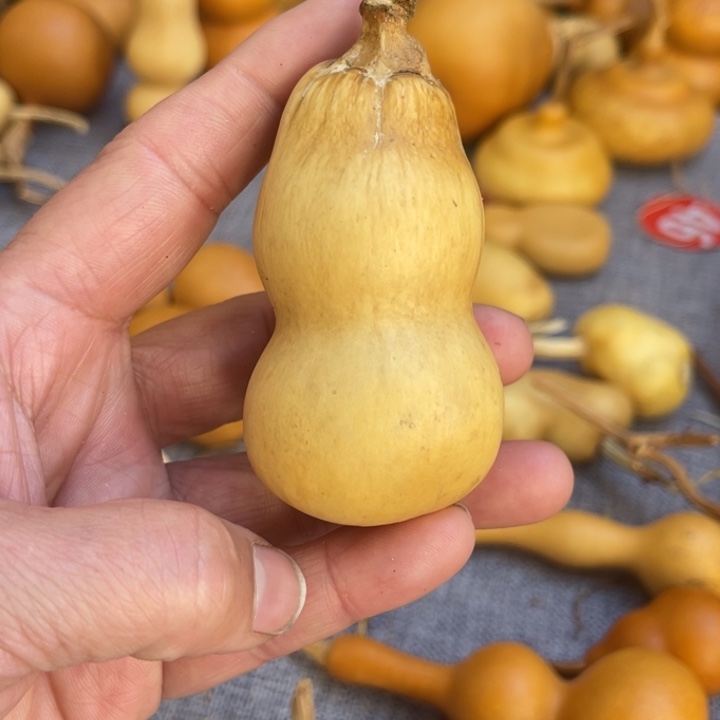 烟****葫芦葫哈哈哈哈哈哈