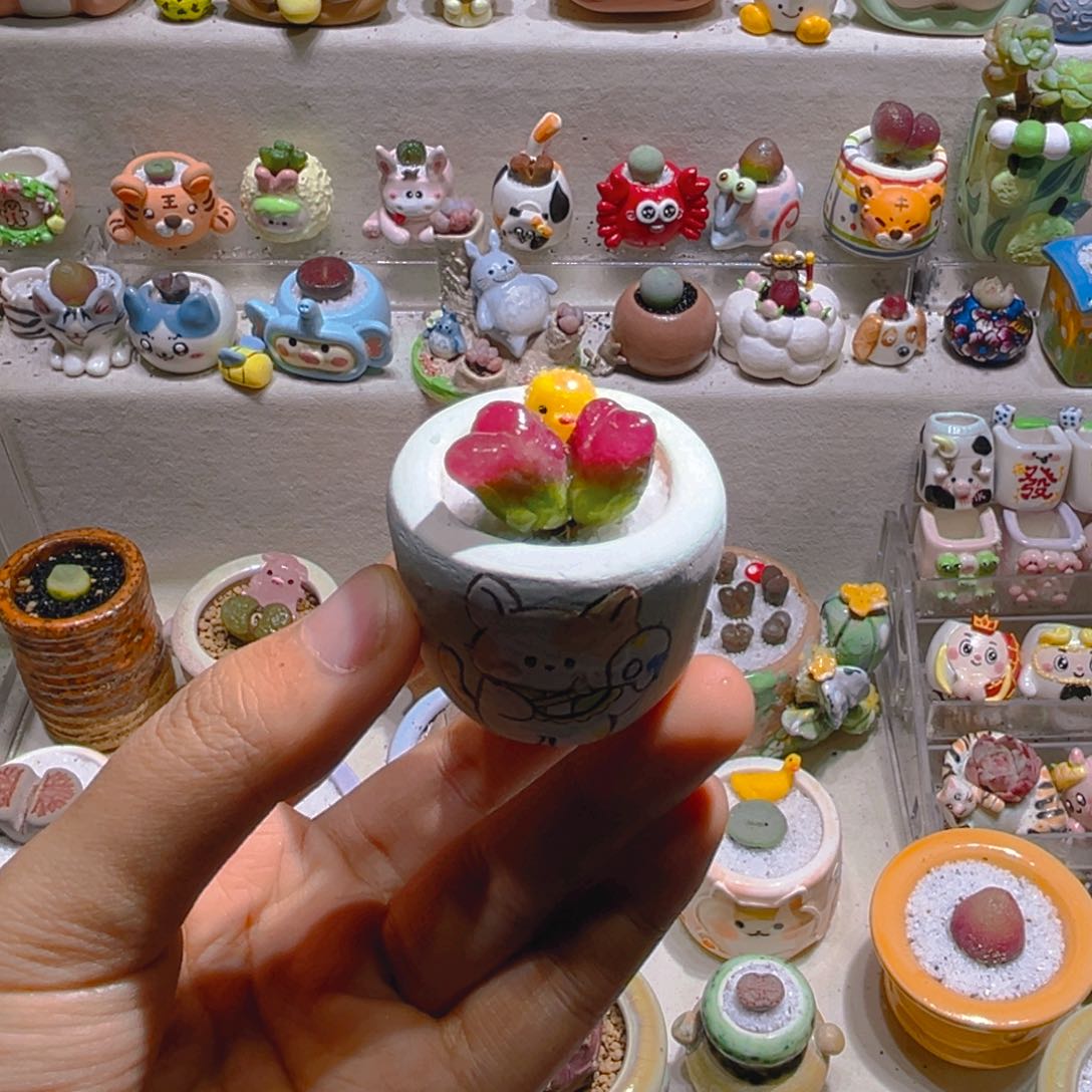 007高端多肉双头毛汉尼带盆土一套45.8