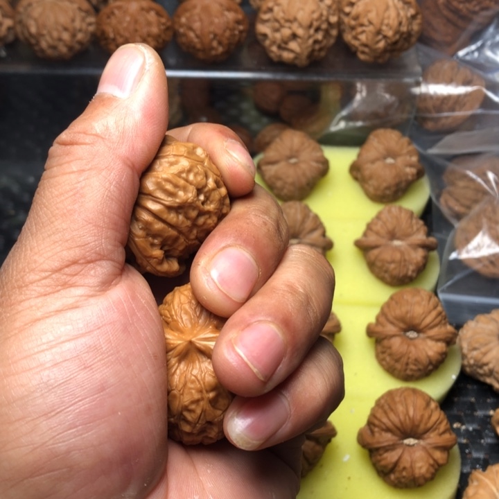 l***r大叶紫檀（黑酸枝木类）