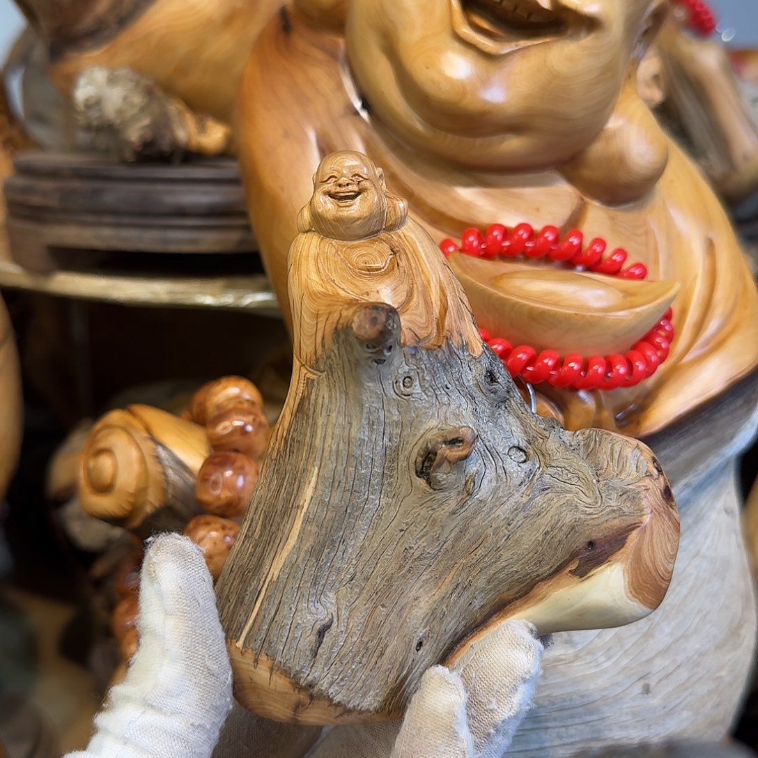 柏木（崖柏）666666