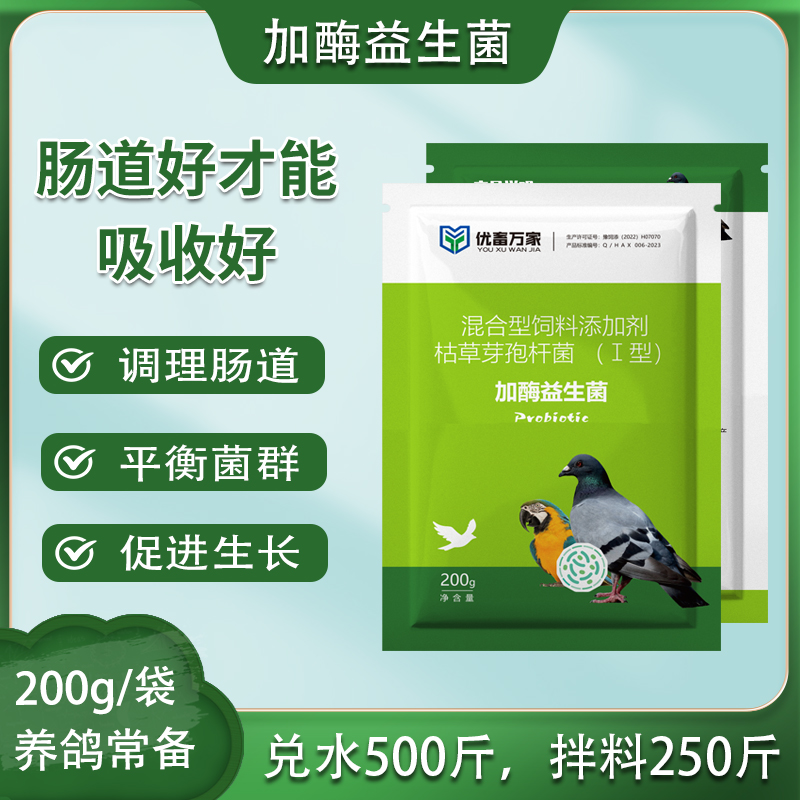 鸽用益生菌赛鸽肉鸽种鸽鹦鹉宠物用饮水拌料调理肠道菌群促进生长